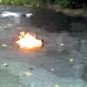 Meet your Posher, Markus